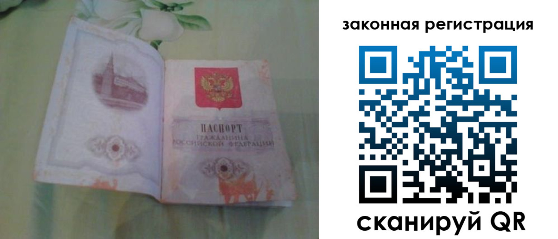 прописка в Жуковском